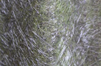 Eling fibreglass roof work